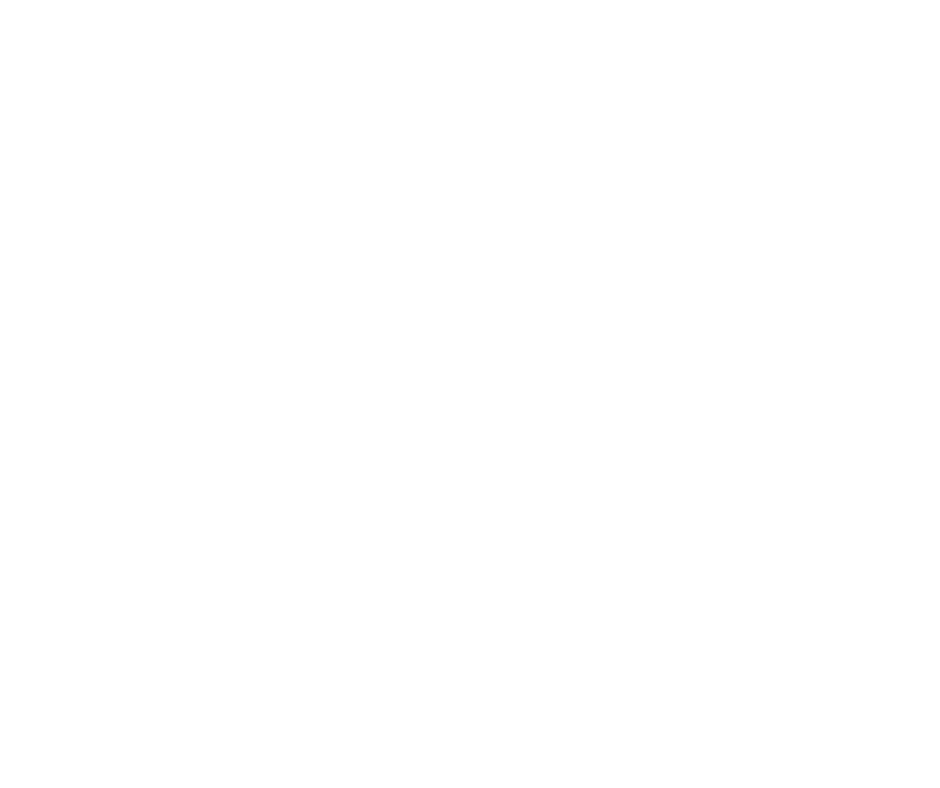 Skinstem